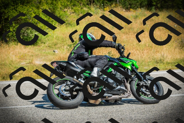 202507051024-DSC05017_c1_