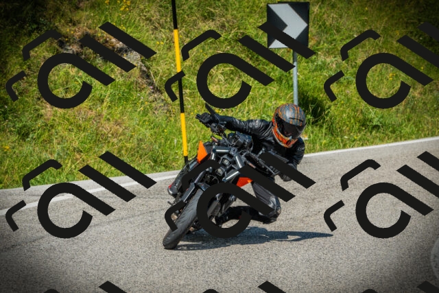 202507051025-DSC05027_c1_