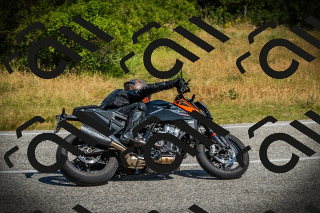 202507051025-DSC05029_c1_