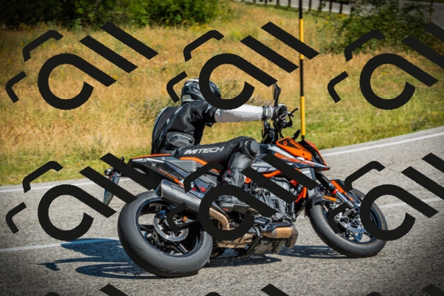 202507051025-DSC05031_c1_