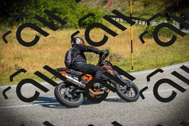 202507051025-DSC05033_c1_