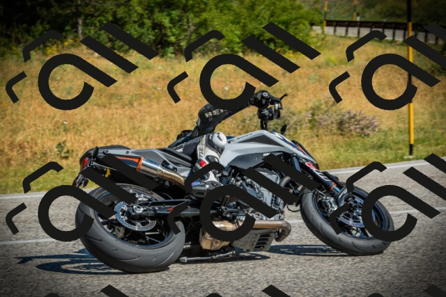 202507051026-DSC05038_c1_