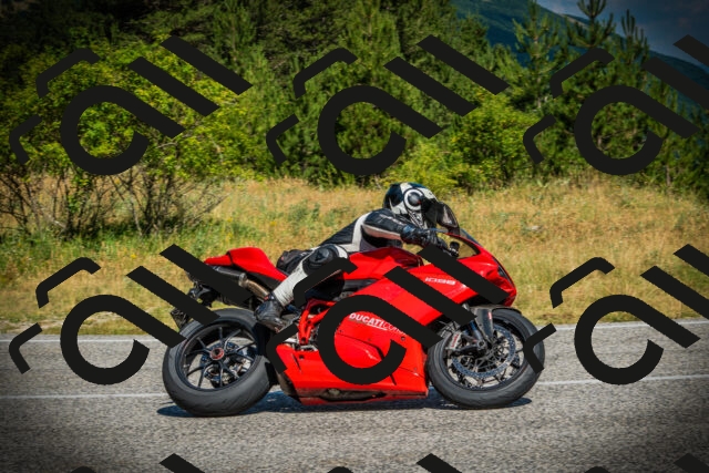 202507051026-DSC05045_c1_