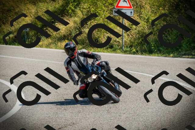 202507051030-DSC05078_c1_