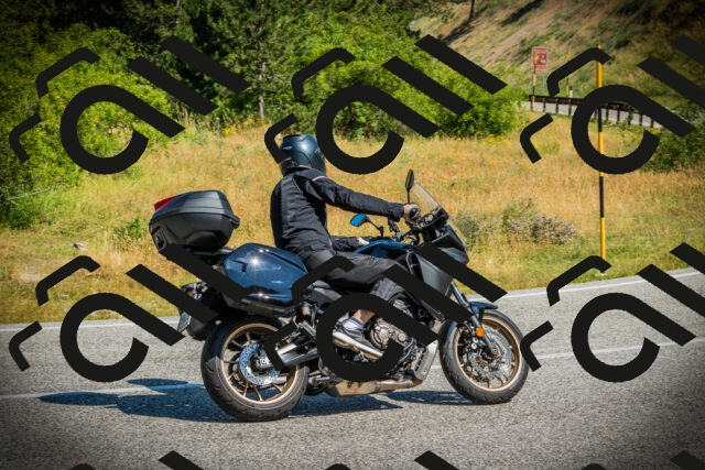 202507051031-DSC05091_c1_