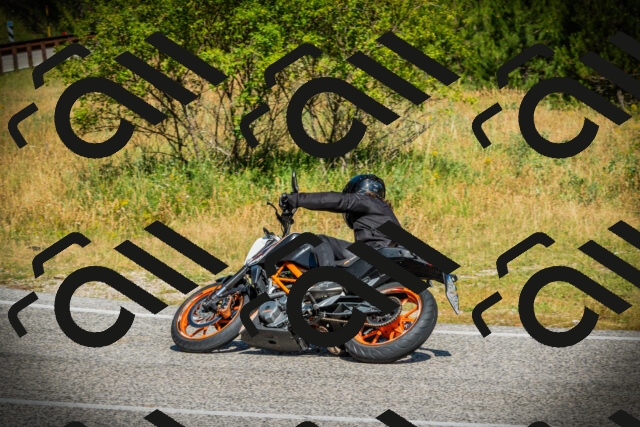 202507051037-DSC05113_c1_