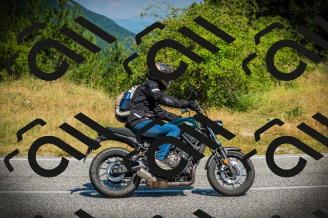 202507051038-DSC05131_c1_