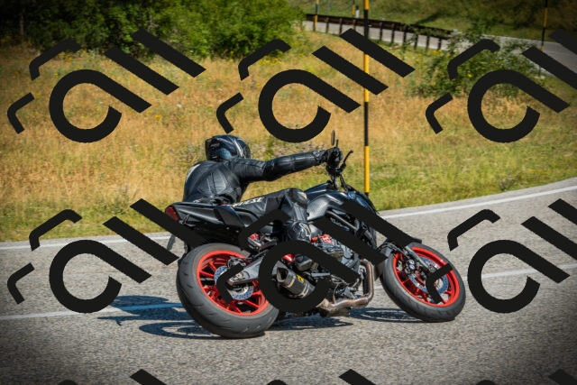 202507051048-DSC05189_c1_