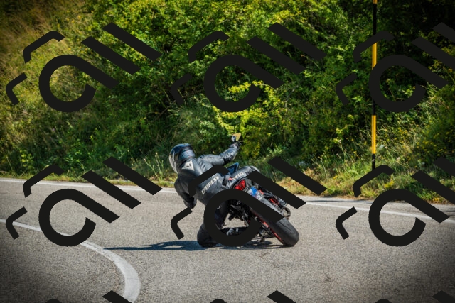 202507051048-DSC05191_c1_