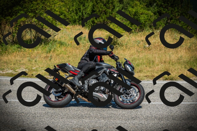 202507051048-DSC05201_c1_