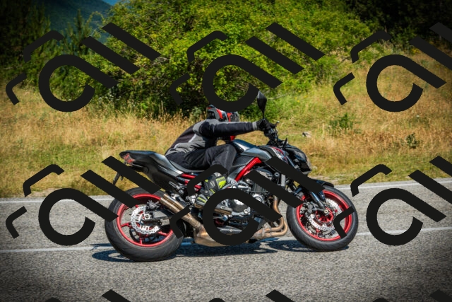 202507051048-DSC05203_c1_