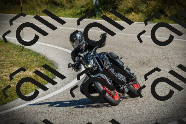 202507051048-DSC05207_c1_