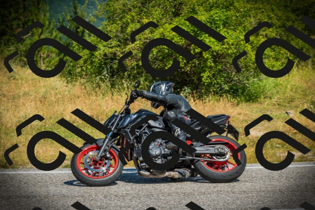 202507051048-DSC05208_c1_