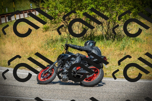 202507051048-DSC05209_c1_