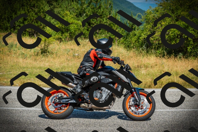 202507051049-DSC05229_c1_