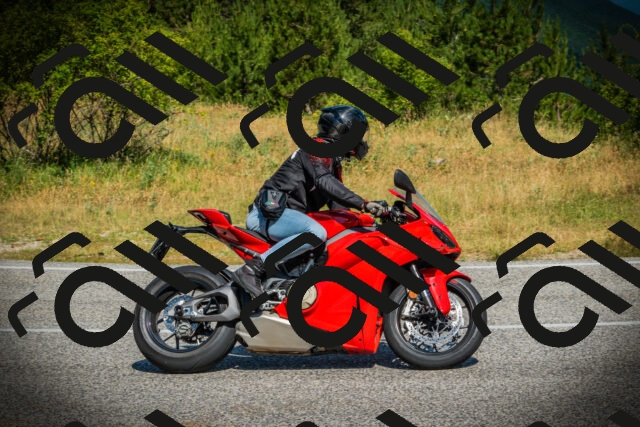 202507051049-DSC05242_c1_