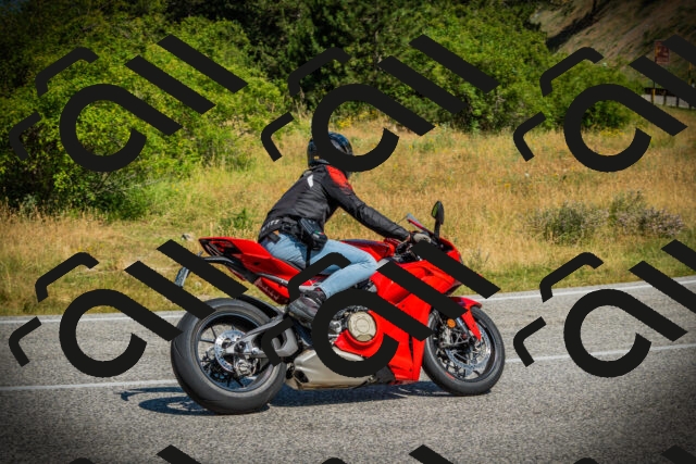 202507051049-DSC05243_c1_