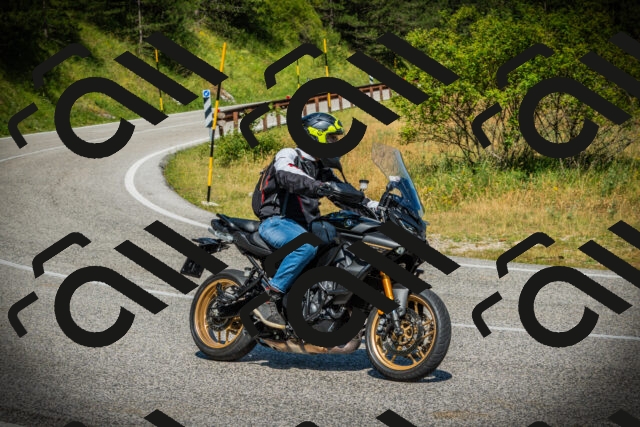 202507051052-DSC05252_c1_