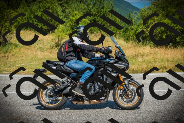 202507051052-DSC05253_c1_