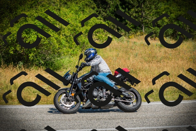 202507051054-DSC05279_c1_