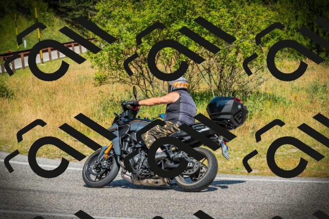 202507051055-DSC05286_c1_