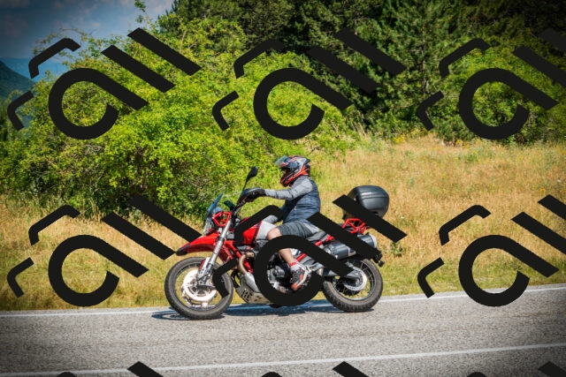 202507051055-DSC05302_c1_