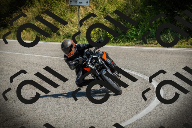 202507051056-DSC05307_c1_