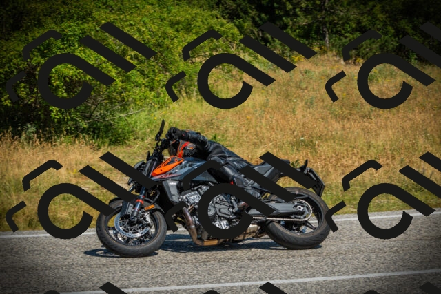 202507051056-DSC05309_c1_