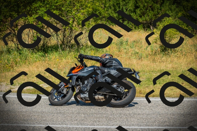 202507051056-DSC05310_c1_