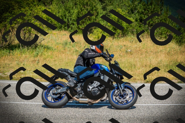 202507051105-DSC05343_c1_