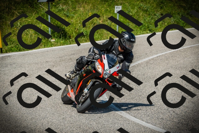 202507051105-DSC05350_c1_