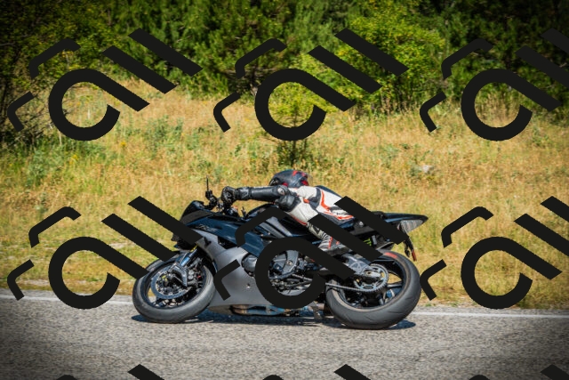 202507051107-DSC05365_c1_