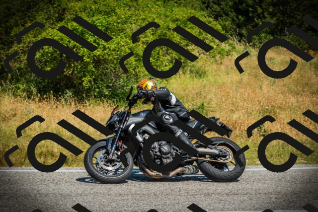 202507051107-DSC05370_c1_