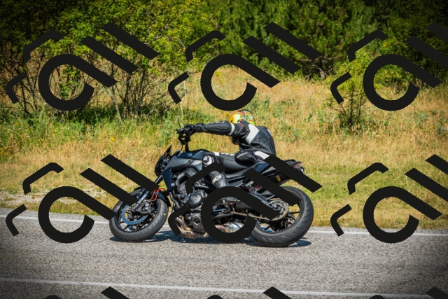 202507051107-DSC05371_c1_