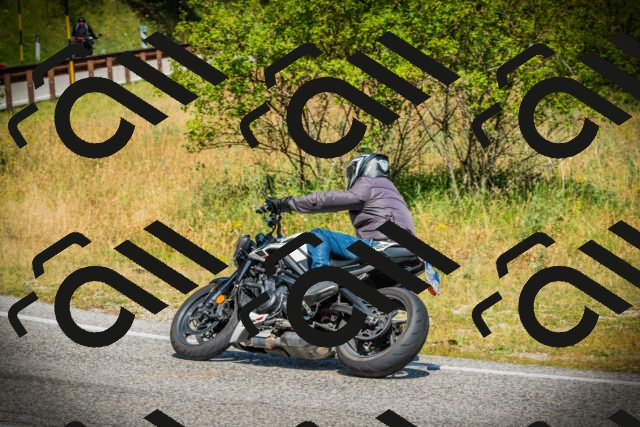 202507051108-DSC05393_c1_