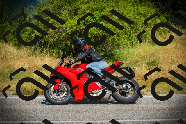 202507051108-DSC05396_c1_