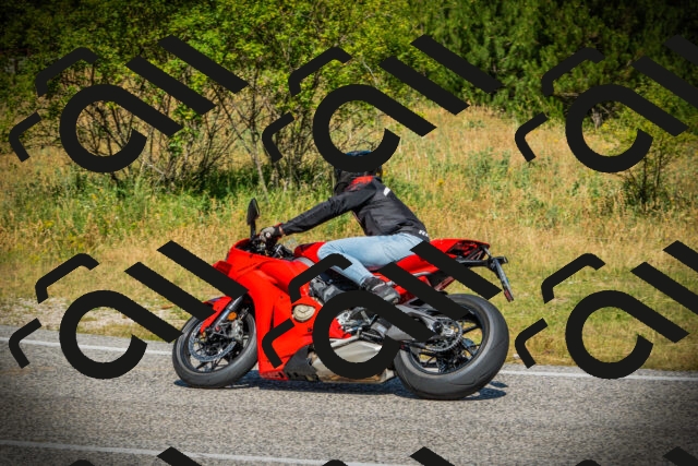 202507051108-DSC05397_c1_