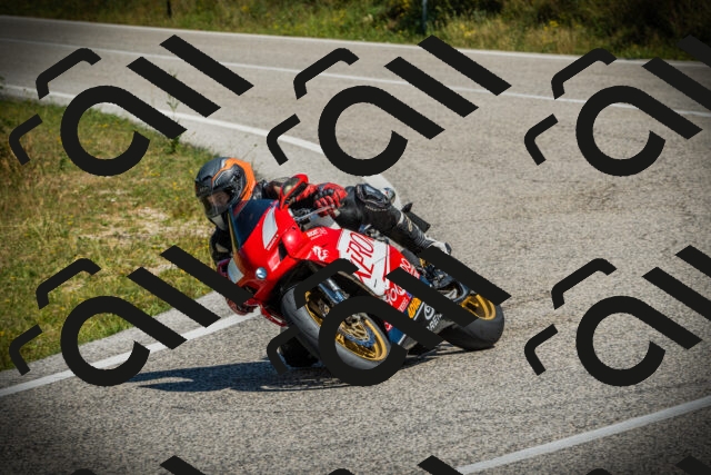 202507051108-DSC05401_c1_