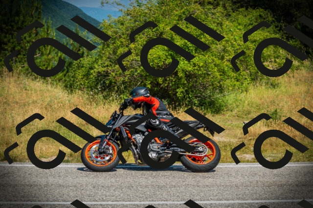 202507051108-DSC05411_c1_