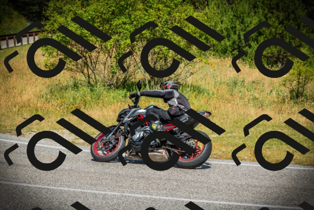 202507051108-DSC05416_c1_