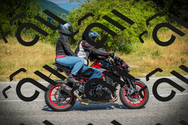 202507051112-DSC05424_c1_