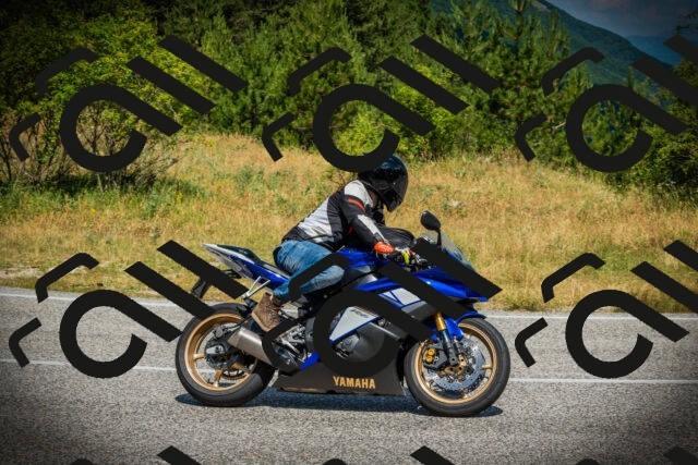 202507051112-DSC05427_c1_