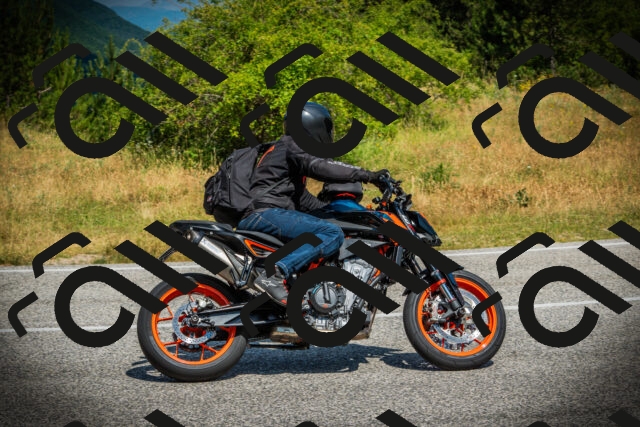 202507051112-DSC05434_c1_