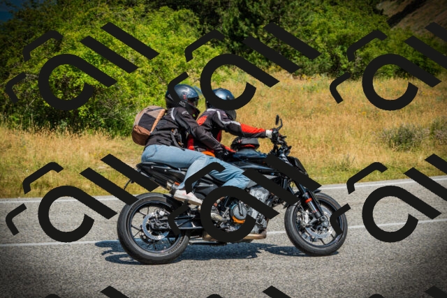 202507051112-DSC05439_c1_