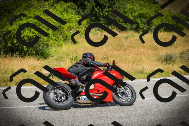 202507051113-DSC05451_c1_