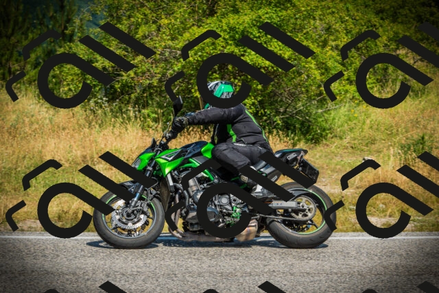 202507051117-DSC05467_c1_