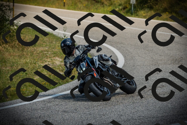 202507051118-DSC05471_c1_