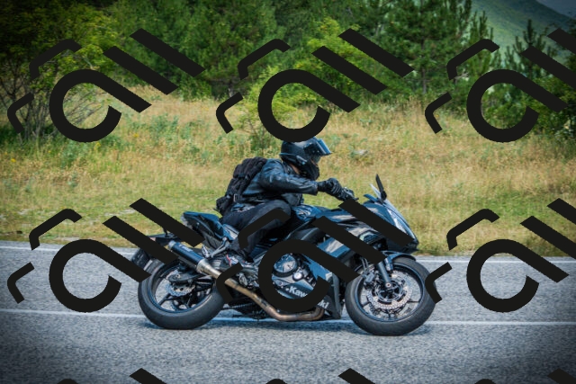 202507051119-DSC05493_c1_