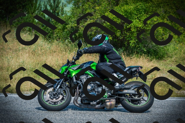 202507051120-DSC05502_c1_