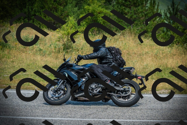 202507051120-DSC05509_c1_